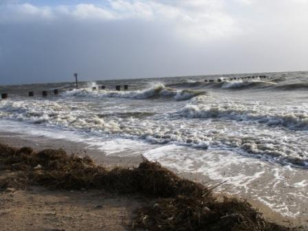 Roter Seestern Wyk auf Föhr Zimmer foto