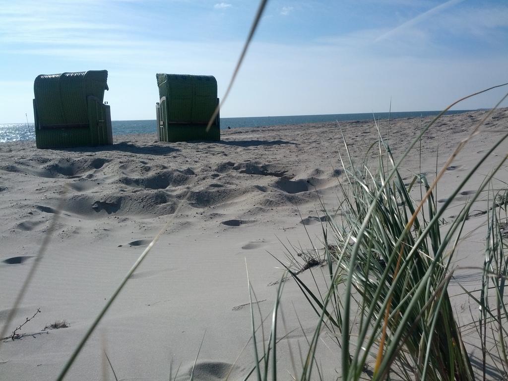 Roter Seestern Wyk auf Föhr Zimmer foto